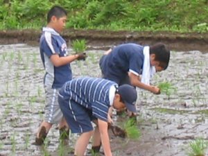 生徒たちの田植え風景