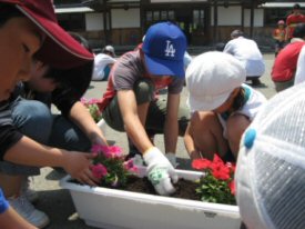 花苗の植付け